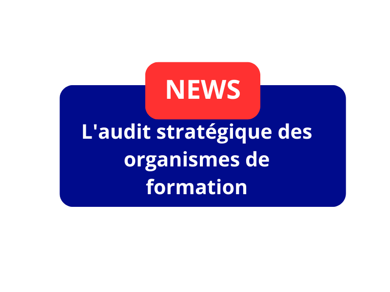 L&rsquo;audit stratégique des organismes de formation